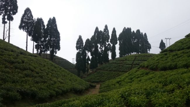 Mirik day trip from Darjeeling