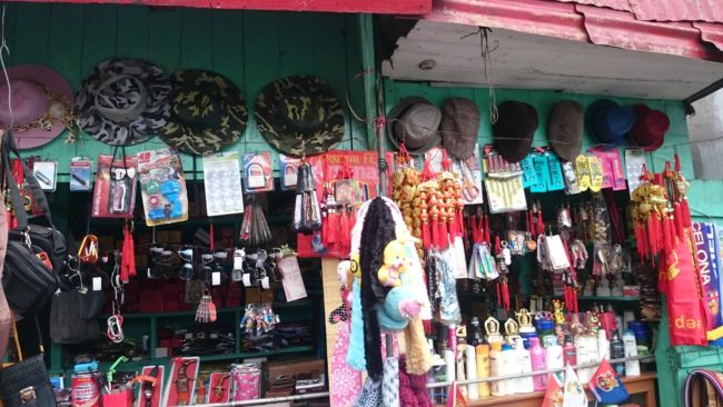 Pashupati Market Nepal from Darjeeling