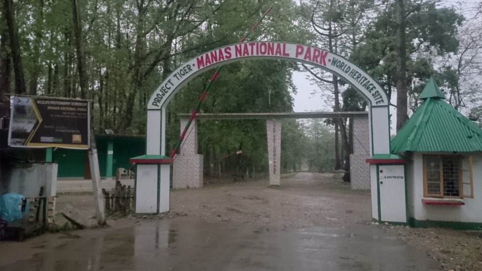 Manas National park guide