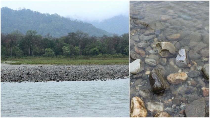 Manas river at Manas national park assam