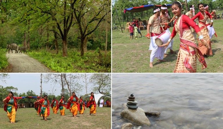 Manas National Park Assam- Complete Travel Guide Heritage Site
