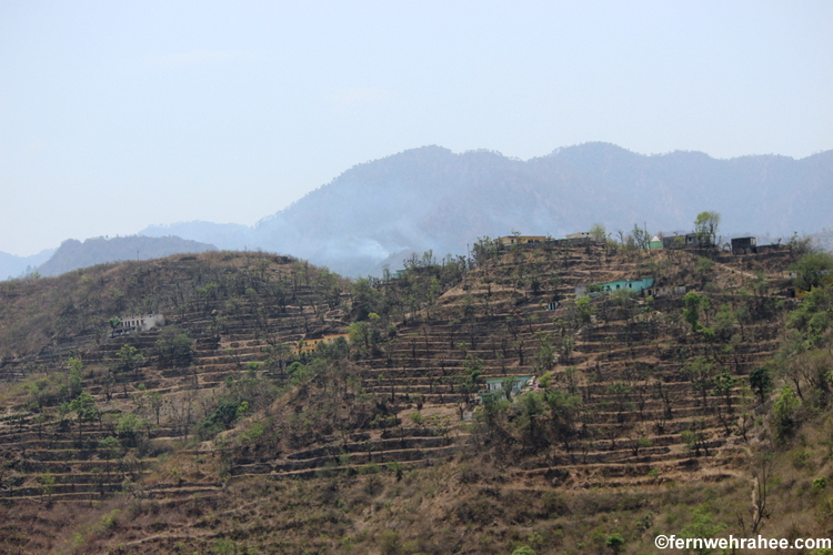 Delhi to Kedarnath Road trip