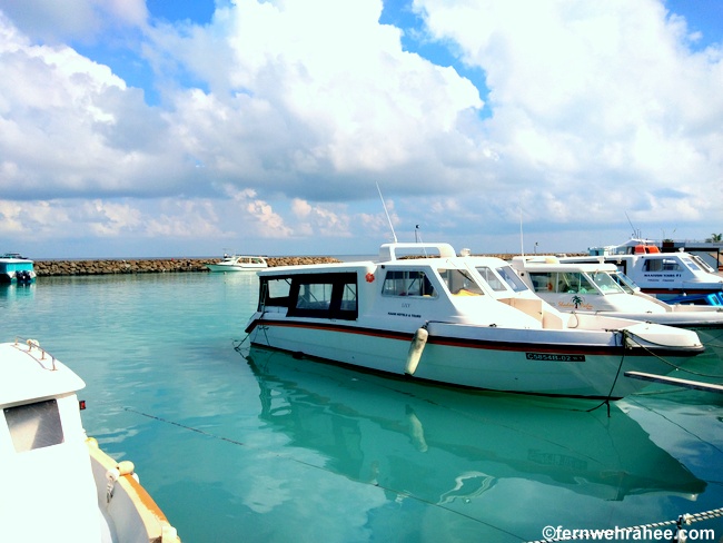 Maldives public ferry
