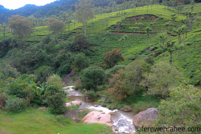 Ooty toy train views