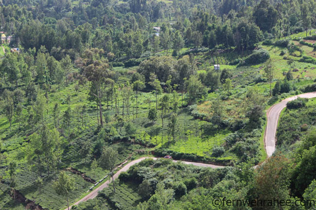 Ooty Viewpoints