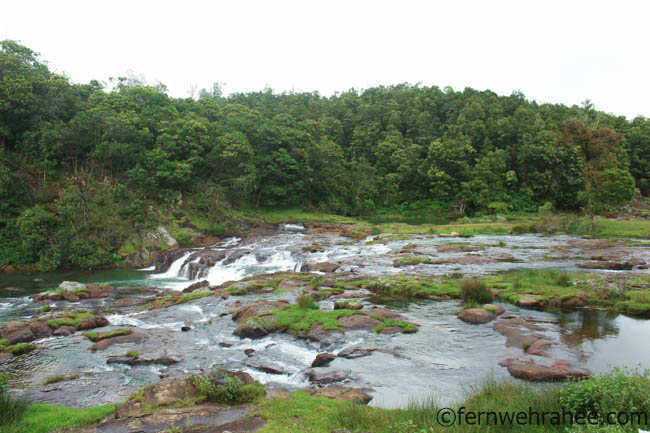 visit to ooty in Monsoon