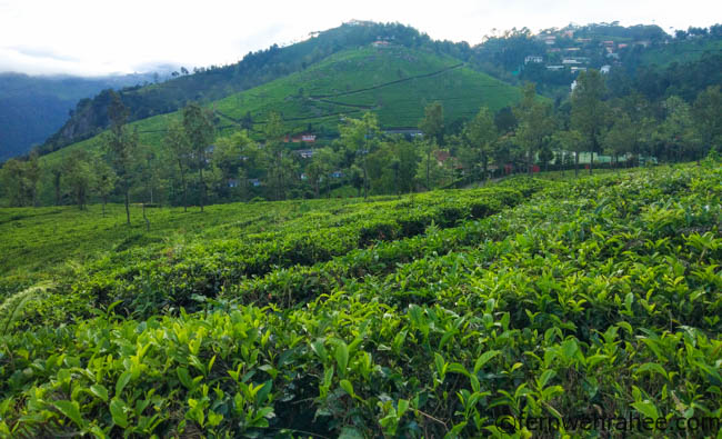 Places to visit in ooty in 2 days