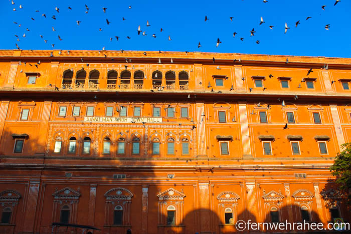 Jaipur historical places Photographes - Fernwehrahee