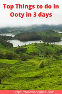 Top Things to do in Ooty