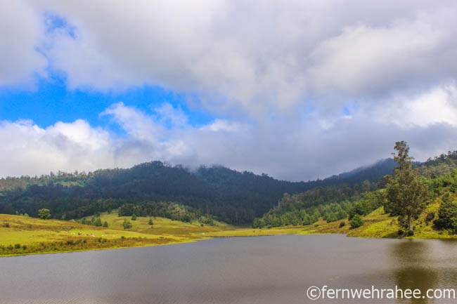 Top Places to Visit in Kodaikanal in 2 Days