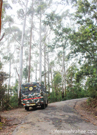 Berijam Lake viewpoints sightseeing by Forest Vehicle