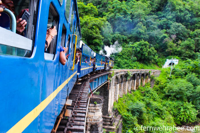 Ooty Mountain Train: All About Nilgiri Toy Train Ride - Fernwehrahee