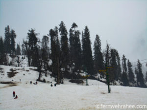 things to do in manali in winter