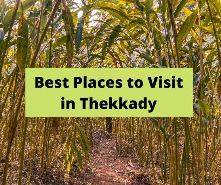 7 Best Places to Visit in Thekkady, Kerala: Complete Travel Guide