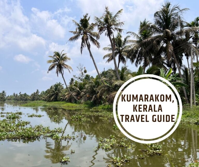 15 Best Things to Do in Kumarakom, Kerala : Complete Travel Guide