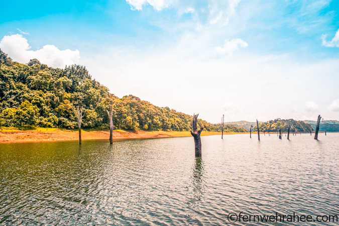 tourist places in kerala border