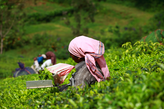 munnar best tourist spots