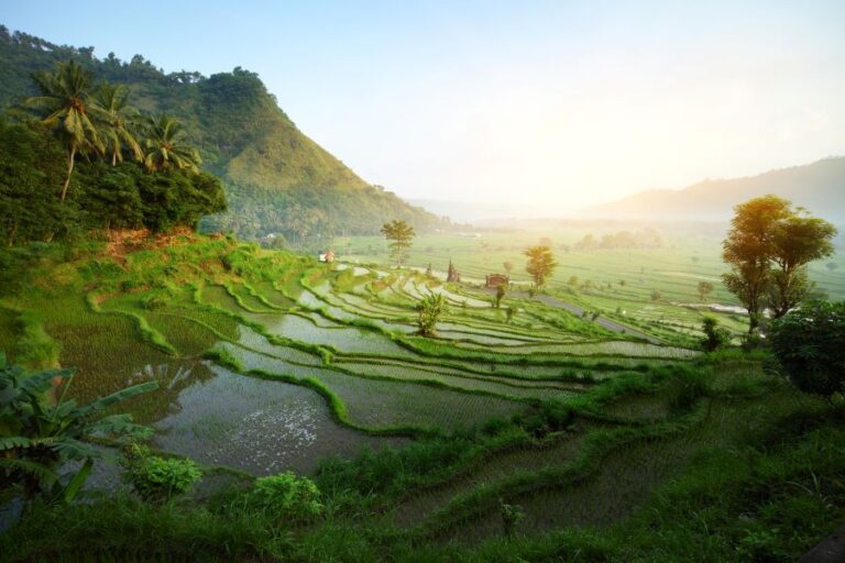 One Week Bali Itinerary: How to Spend 7 Days in Bali