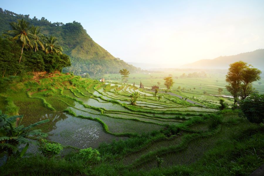 what to do 7 days in Bali