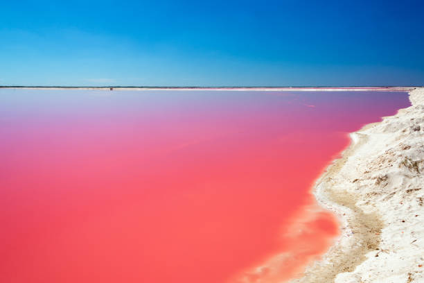 Pink Lakes of Mexico