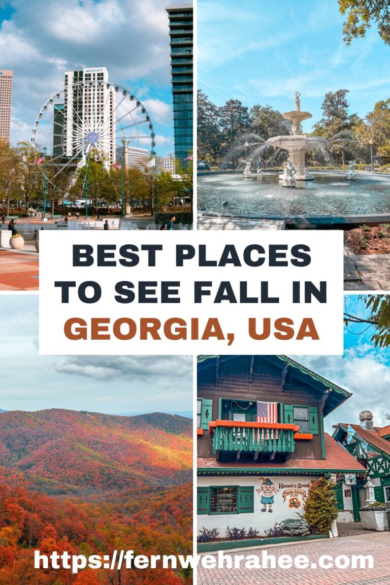 20 Best Places to see Fall Colors in Georgia(USA) - Fernwehrahee