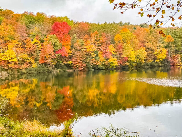 20 Best Places to see Fall Colors in Georgia(USA) - Fernwehrahee